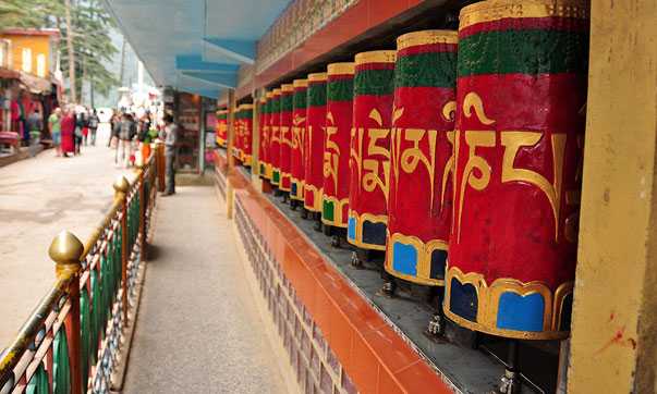 Dalai Lama Temple: A Journey into Peace and Spirituality